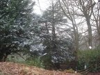 Alnwick March 2013 013
