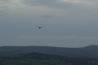 DSC09029