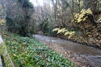 DSC01810