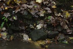 DSC01811