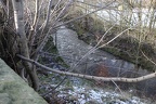 DSC02273