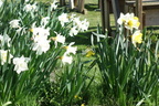 DSC02614