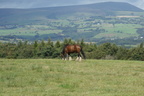 DSC01055