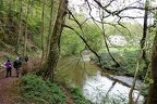 DSC05517