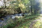 DSC06608