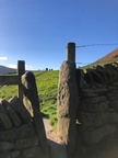IMG-20231124-WA0005
