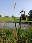 IMG-20240907-WA0006[1]