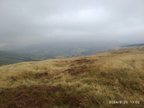 IMG-20240920-WA0004[1]