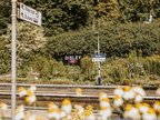 Disley-station-summer-2023 Dark-Peak-Photography