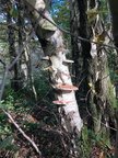 IMG-20241019-WA0007[1]