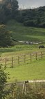 IMG-20241019-WA0011[1]
