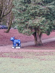 IMG-20241206-WA0006[1]
