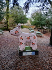 IMG-20241206-WA0010[1]