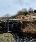 IMG-20250216-WA0011[1]