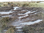 IMG-20250218-WA0011[1]