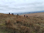 IMG-20250218-WA0016[1]