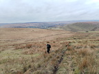 IMG-20250218-WA0017[1]