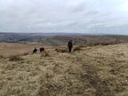 IMG-20250218-WA0019[1]