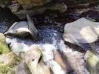 IMG-20250502-WA0004[1]