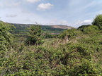 IMG-20250502-WA0025[1]