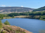 IMG-20250503-WA0003[1]