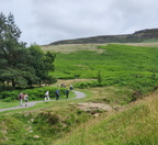 IMG-20250708-WA130012[1]