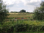 IMG-20250723-WA0007[1]