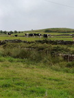 IMG-20250726-WA0006[1]