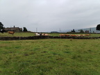 IMG-20250726-WA0011[1]