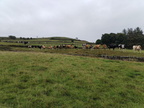 IMG-20250726-WA0012[1]