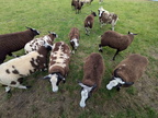 IMG-20250726-WA0014[1]