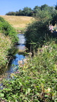 IMG-20250816-WA0005[1]