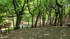 IMG-20250816-WA0009[1]