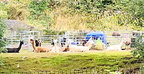 IMG-20250824-WA0051[1]