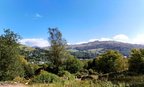 IMG-20250919-WA0010[1]