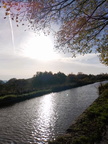 IMG-20251114-WA0003[1]