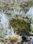 IMG-20251122-WA0015[1]