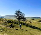 Buxton 19/03/2026
