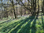 Ulverston Spring Break 12/04/2026